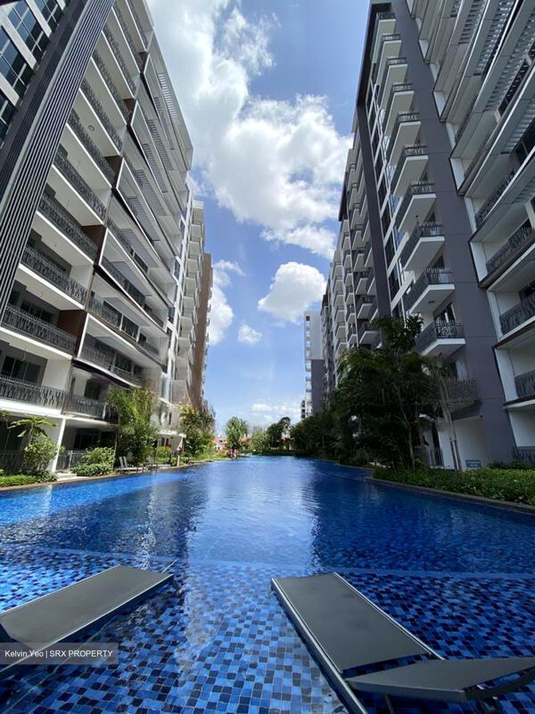 Forest Woods (D19), Condominium #481747301